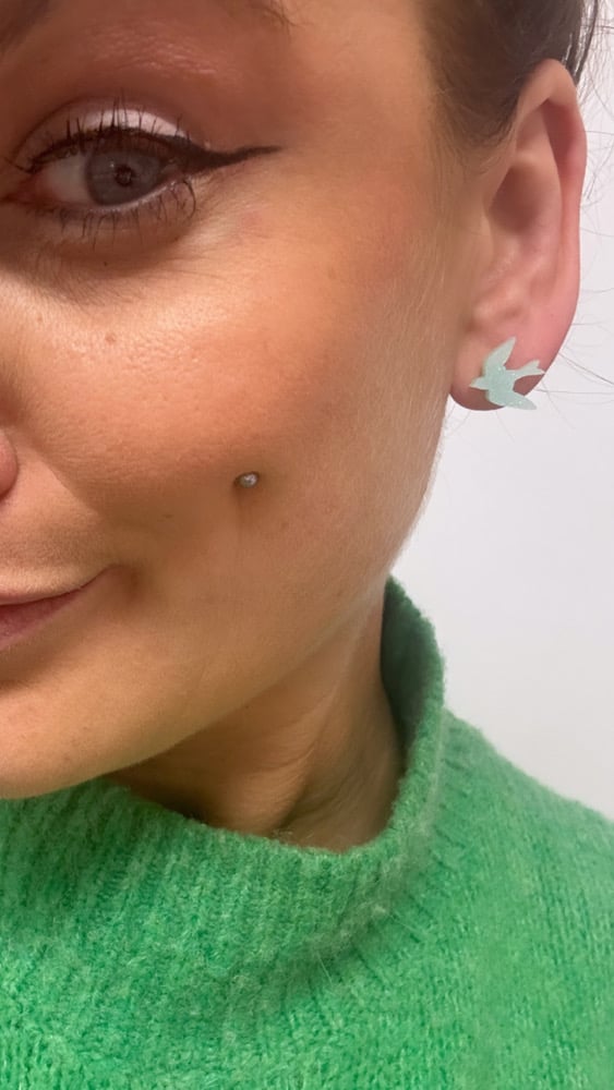 Image of Náušnice třpytivý pastelový ptáčci