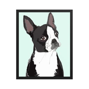 Image of BOSTON TERRIER
