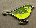 Green Warbler - December 2021 - UK Birding Pins - Enamel Pin Badge