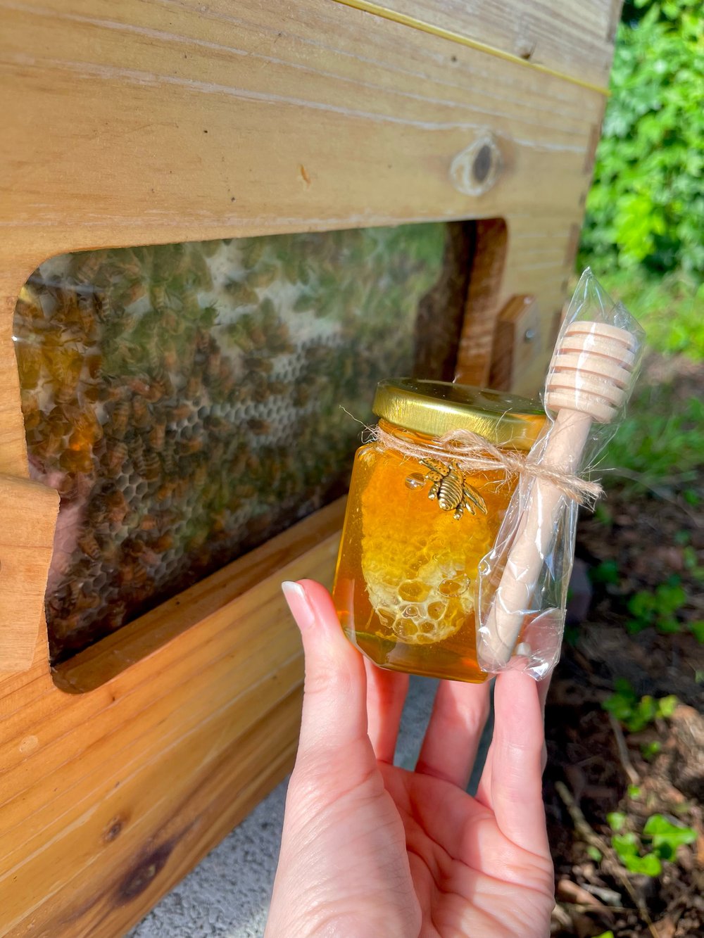 Image of 3oz Raw Honeycomb Jar