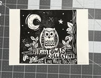 Night Owl Collective