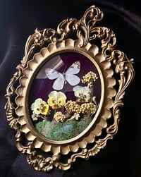 Image 1 of Vintage Pine White Butterfly Botanical Frame