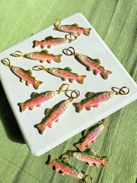 Image 3 of Rainbow Trouts