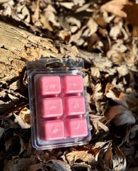 Image 2 of Lychee Dreams | Soy & Beeswax Melt