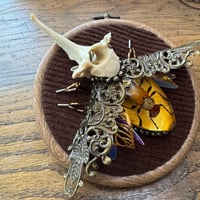 Image 4 of Specimen beetle (b, 4  inches)