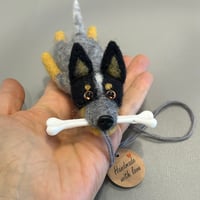 Image 1 of Australian Cattle Dog “Blue heeler” With BONE / LIGHT copy