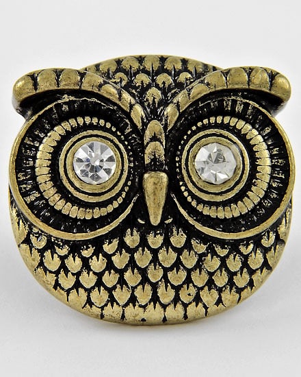 Image of Owl
