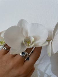 Image 1 of Mother of Pearl + Onyx Bubba Ring