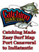 Image of Catching Made Easy Surf Map Port Canaveral to Indiatantic