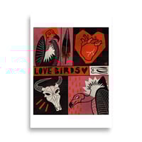 Image 2 of Lovebirds