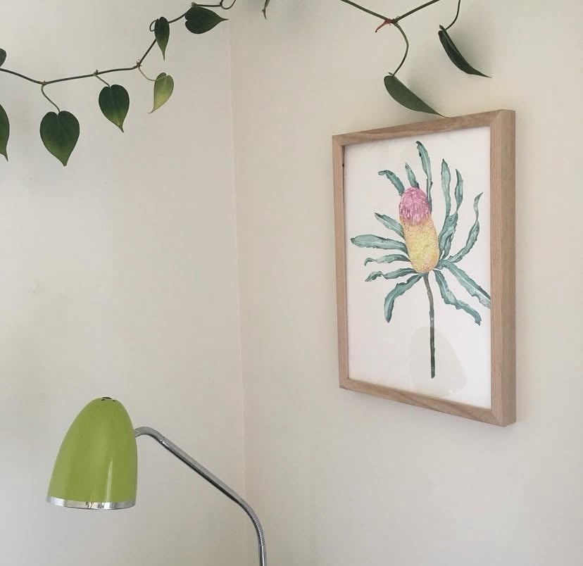 Image of Framed banksia print 