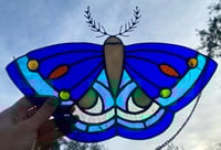 Image 1 of Polyphemus Moth (blue)