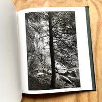 Image 7 of Kristine Potter - Dark Waters 