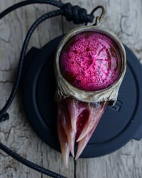 Image 1 of Magenta Bloom Snaggletooth Pendant OOAK