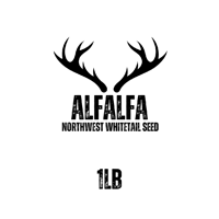 Alfalfa 
