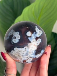 Image 3 of MOZAMBIQUE SWAZI AGATE SPHERE C