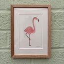 Image 1 of £50 originals - Flamingo watercolour