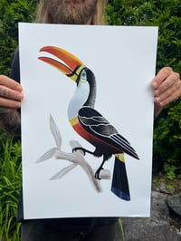 Image 2 of Tucan 