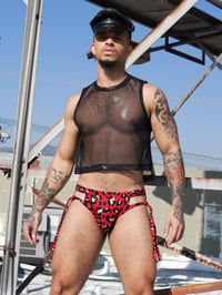 Image 5 of THE RED-LIGHT RECKLESS BRIEF