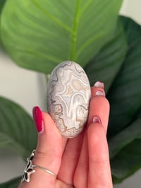 Image 2 of MEXICAN LACE AGATE SHIVA I