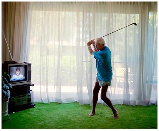 Larry Sultan - Pictures From Home