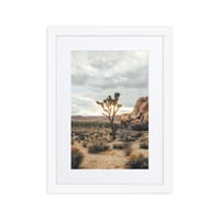 Image 4 of Joshua Tree