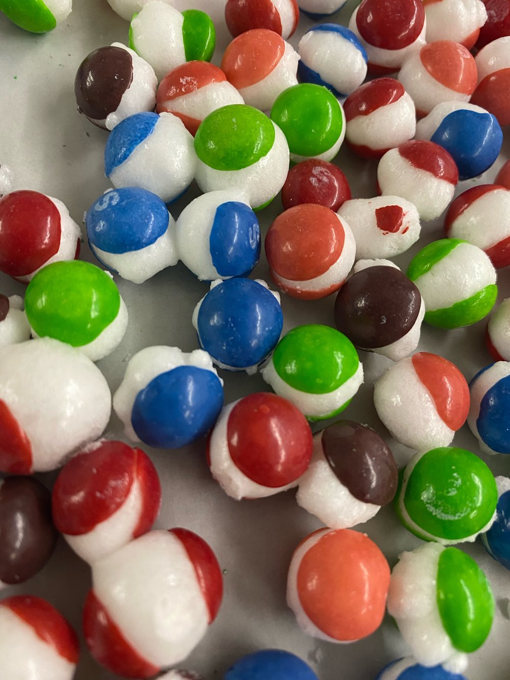 Image of Wild Tuttles