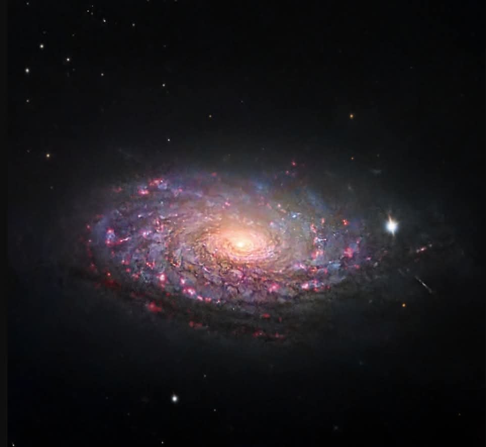 Image of Astrophotography 