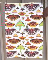 Image 2 of North American Moths Tea Towel