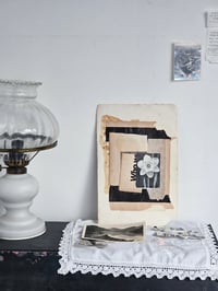 Image 5 of BULB GROWING - COLLAGE (UNIQUE)