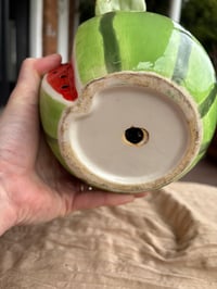 Image 3 of Watermelon Peperomia in Watermelon Pot