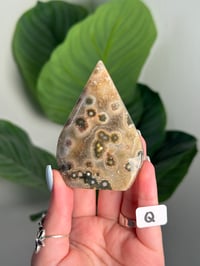 Image 17 of CHOOSE YOUR OWN SEA JASPER FLAME -MADAGASCAR-