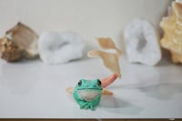 Image 5 of Frog Mermaid