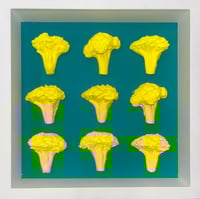 Symphony 9 Broccoli 