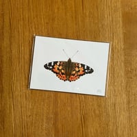 Image 3 of Butterfly Print #2 - Various Designs