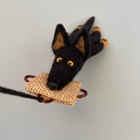 Image 5 of Black German Shepherd