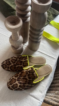 Image 1 of mule leopard 🐆 🍋