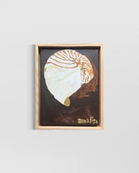 Image 1 of Island Shell Original