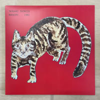 Yasuaki Shimizu - Kakashi