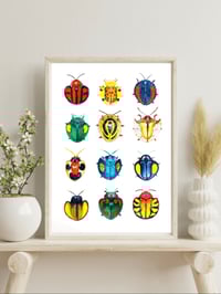 Image 5 of Cassidinae Beetles Watercolor Illustration PRINT 