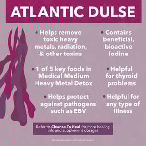 Image of Atlantic Dulse