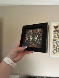 Image 3 of Asian Swallowtail Small Frame
