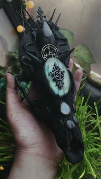 Image 1 of Lilith Coyote skull- for Caitlin 