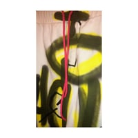 Image 2 of Spray Bombed Zara Shorts