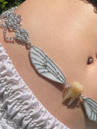 Image 7 of tooth fairy belts
