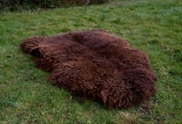 Image 2 of Harting Black Sheepskin #9