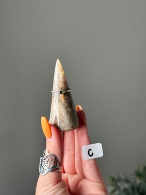 MOONSTONE WITH SUNSTONE RING HOLDERS