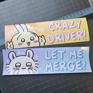 Image of Crazy Driver!