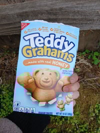 Image 6 of Lightning Bug