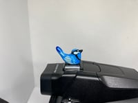 Image 5 of Splendid Fairy Wren Hotshoe Cover